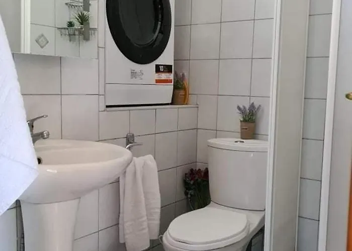 Andreadis Maissonette *